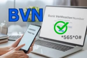 How to Check my BVN Online 2026 — Polytechnic