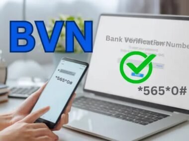 How to Check my BVN Online 2026