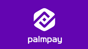 How to Login to PalmPay with Your Phone Number