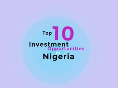 What Are The Best Investment Platforms in Nigeria in 2024?